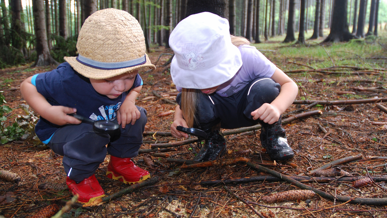 Lesní dílna a stopařská stezka v Kamýckém lese pro rodiny s dětmi